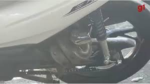 Sucuri na frente de escola é capturada por diretor da unidade